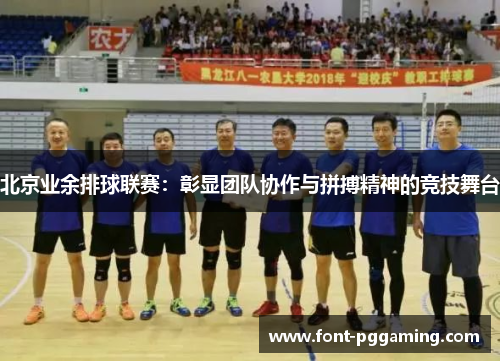 北京业余排球联赛：彰显团队协作与拼搏精神的竞技舞台