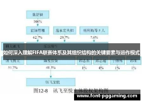 如何深入理解FIFA联赛体系及其组织结构的关键要素与运作模式
