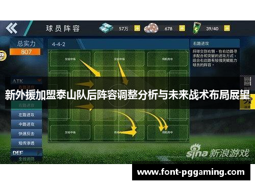 新外援加盟泰山队后阵容调整分析与未来战术布局展望