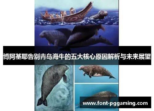 博阿基耶告别青岛海牛的五大核心原因解析与未来展望