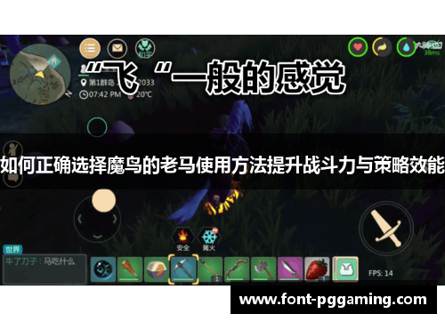 如何正确选择魔鸟的老马使用方法提升战斗力与策略效能
