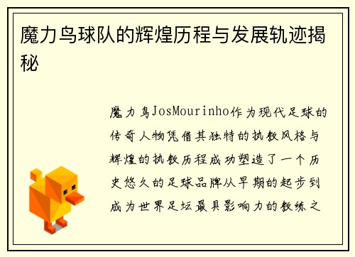 魔力鸟球队的辉煌历程与发展轨迹揭秘