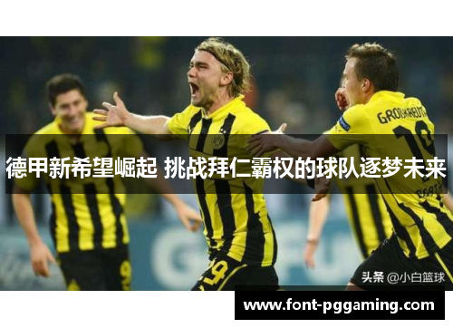 德甲新希望崛起 挑战拜仁霸权的球队逐梦未来