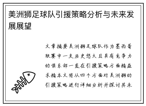 美洲狮足球队引援策略分析与未来发展展望