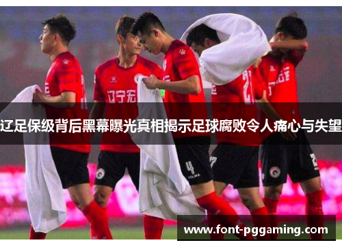 辽足保级背后黑幕曝光真相揭示足球腐败令人痛心与失望